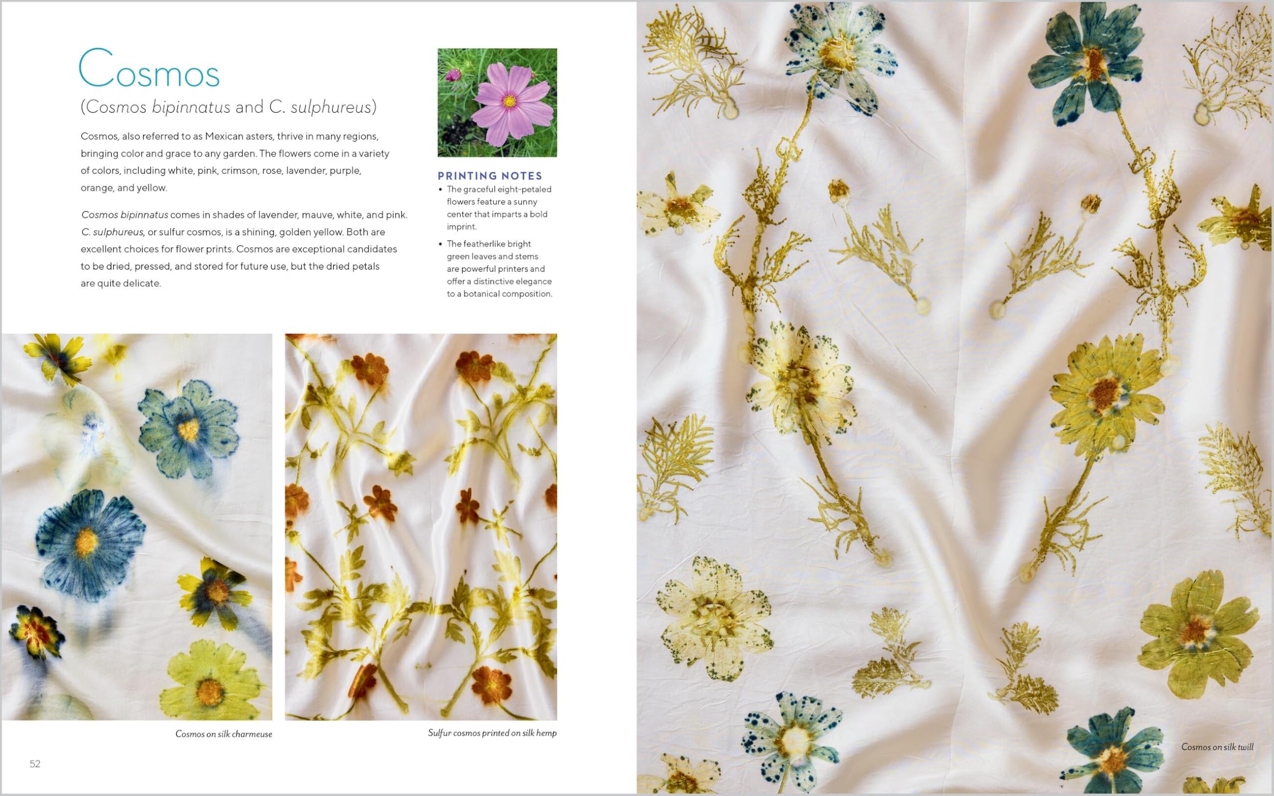Printing from the Garden: Create Stunning, One-of-a-Kind Prints with Flowers and Leaves