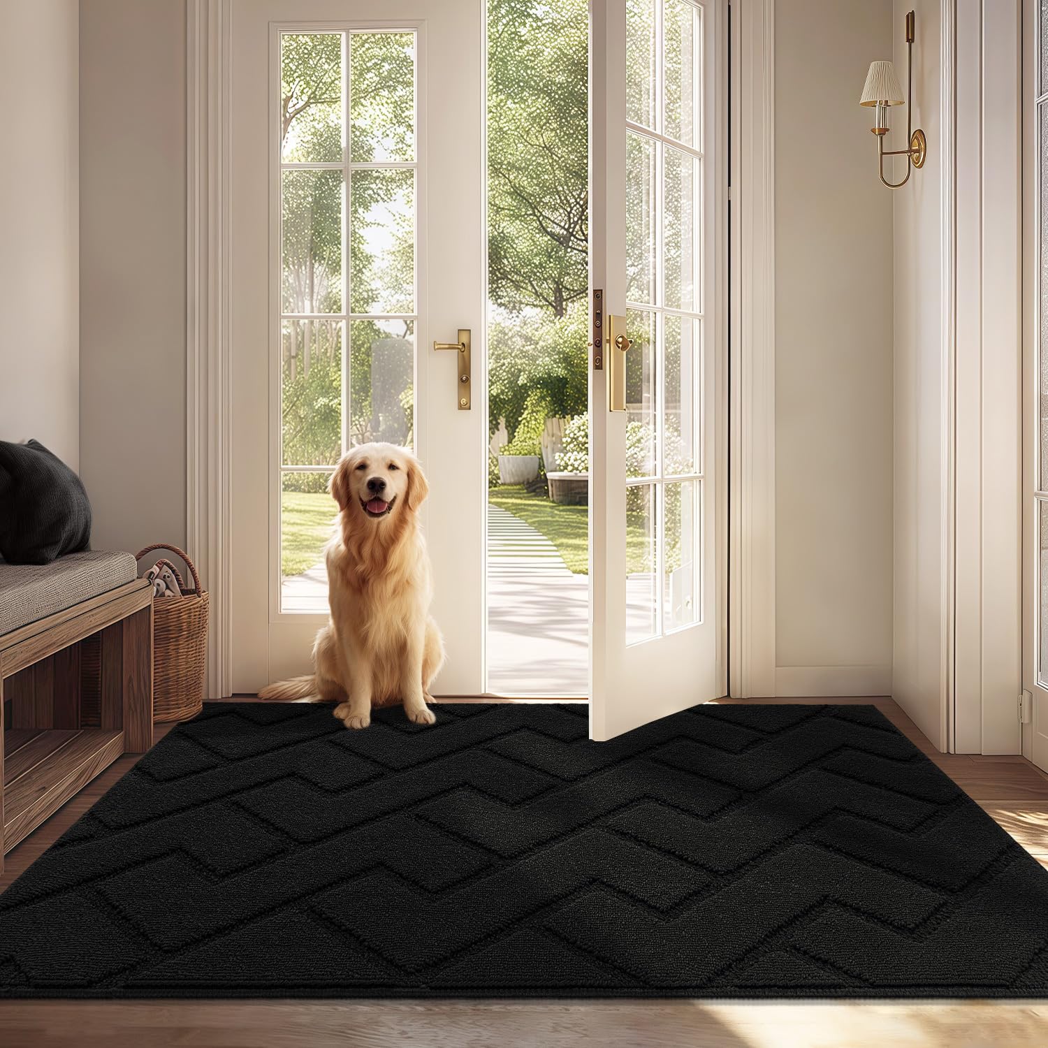 Biscpro Door Mat 80x120cm, Indoor DoorMat Washable, Doormat Indoor Dirt Trapper Non-slip, Absorbent Inside Entrance Rug Floor Mat for Entryway, Patio, Garden, laundry Room,Pets - Black
