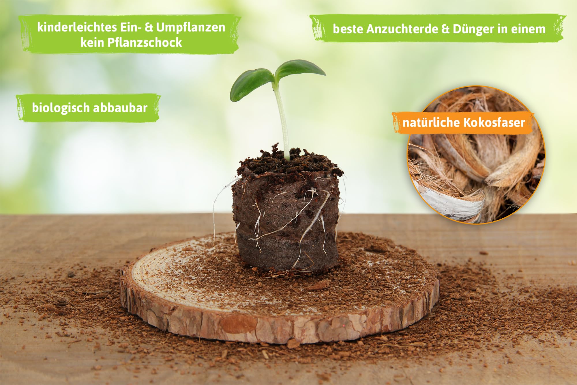 FLORTUS – Kokos Quelltabletten aus Anzuchterde mit NPK Dünger – 140 Stück (36 mm) Kokos Quelltabs torffrei & biologisch abbaubar – Kokoserde für Pflanzen Anzucht – Anzuchterde aus Kokosfaser