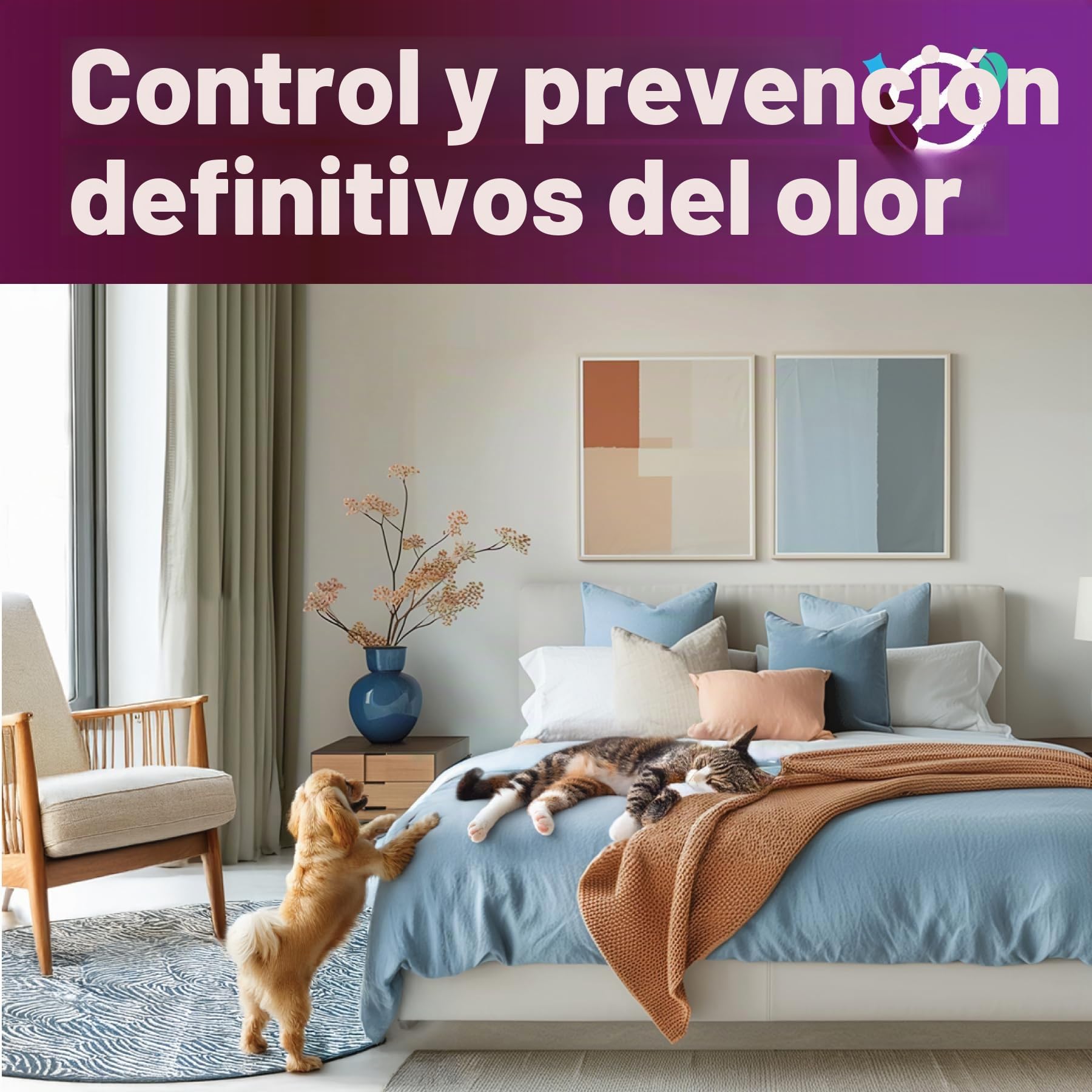 Dirtbusters Limpiador Concentrado de Moquetas, Alfombras y Tapicería para Mascotas. Elimina Manchas y Olores de Orina y Heces. Apto para Máquinas de limpieza. Aroma a Camomila y Geranio. 1 x 5 Litros