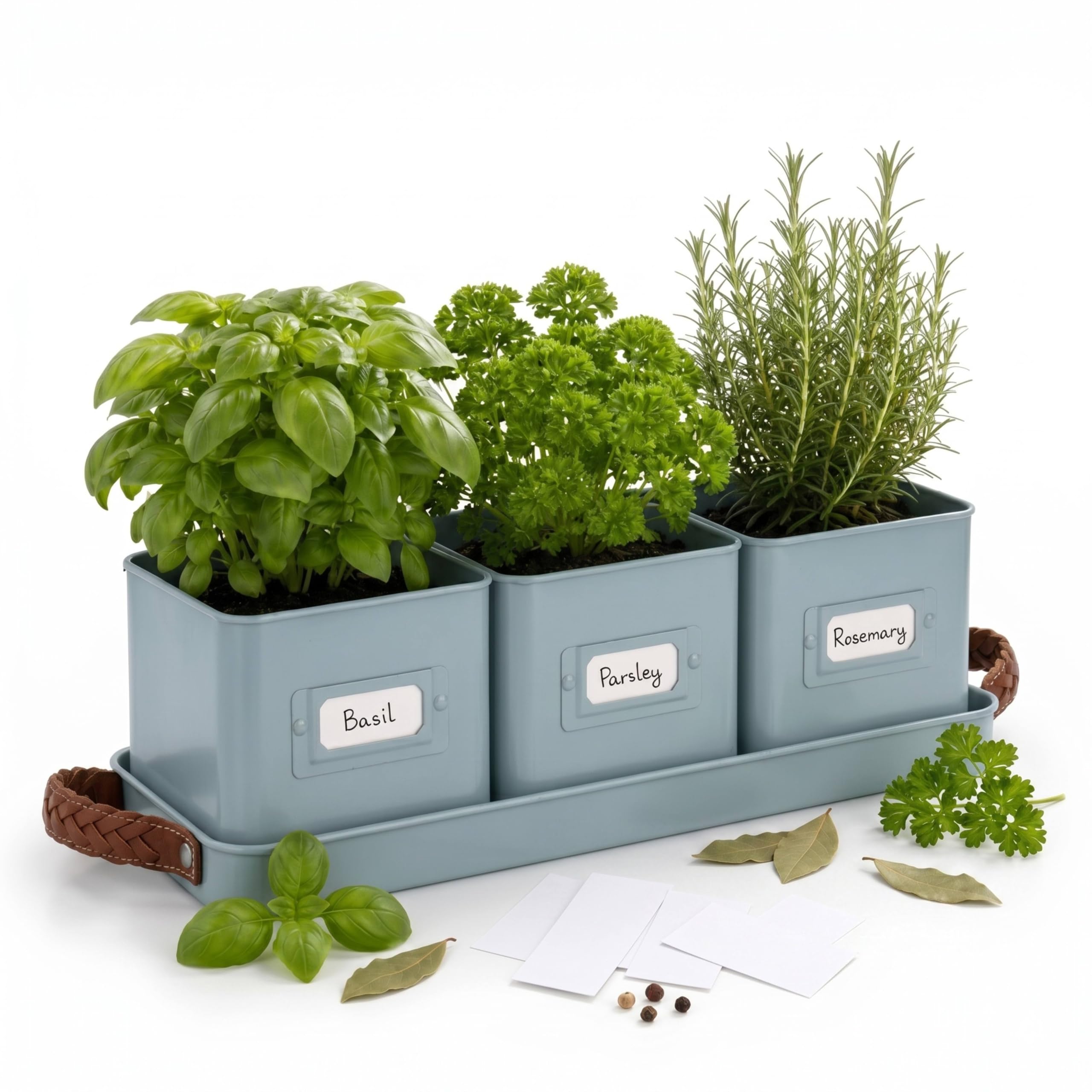 ALAYSTAR 3 Pot Metal Herb Planter Set with Tray & Labels for Kitchen