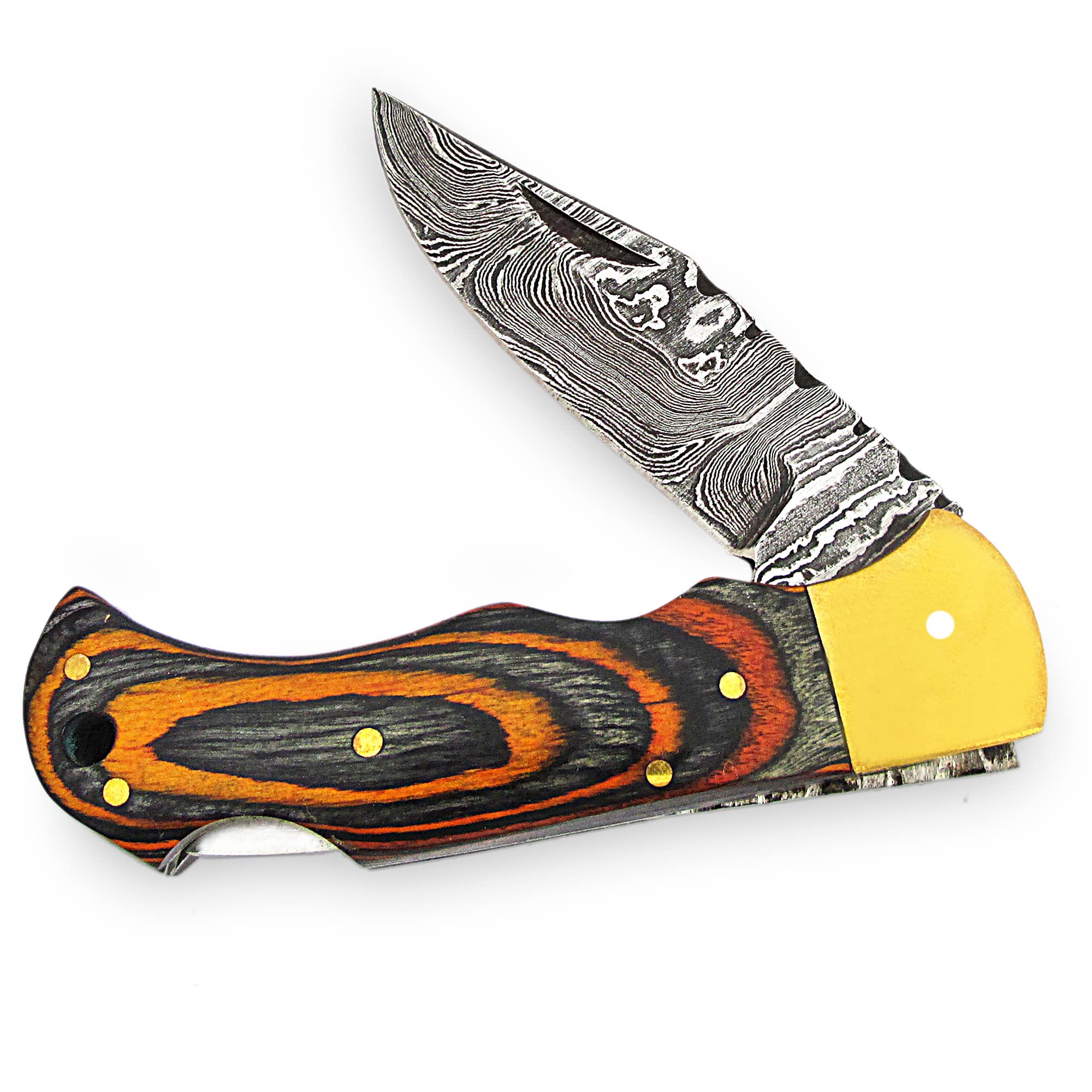 Damascus Folding Knife - Handmade Damascus Steel - Damascus Pocket Knife - 6.5 Inches Dollar Sheet Handle, Baat-4002