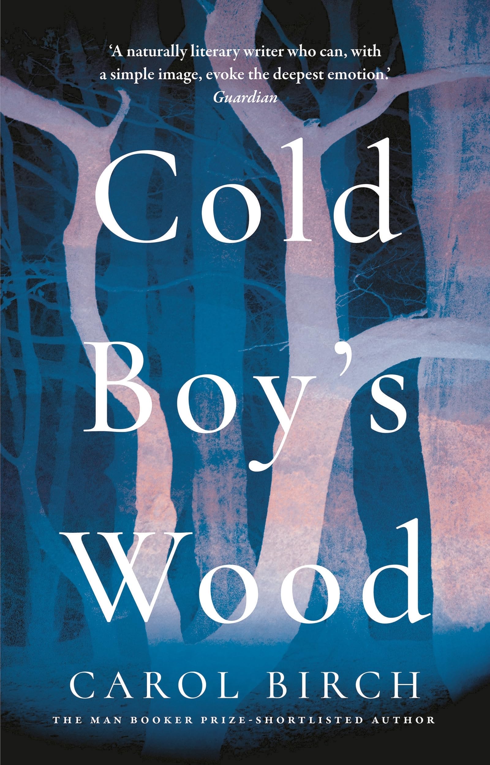 Buy Cold Boy's Wood — BookShops.in