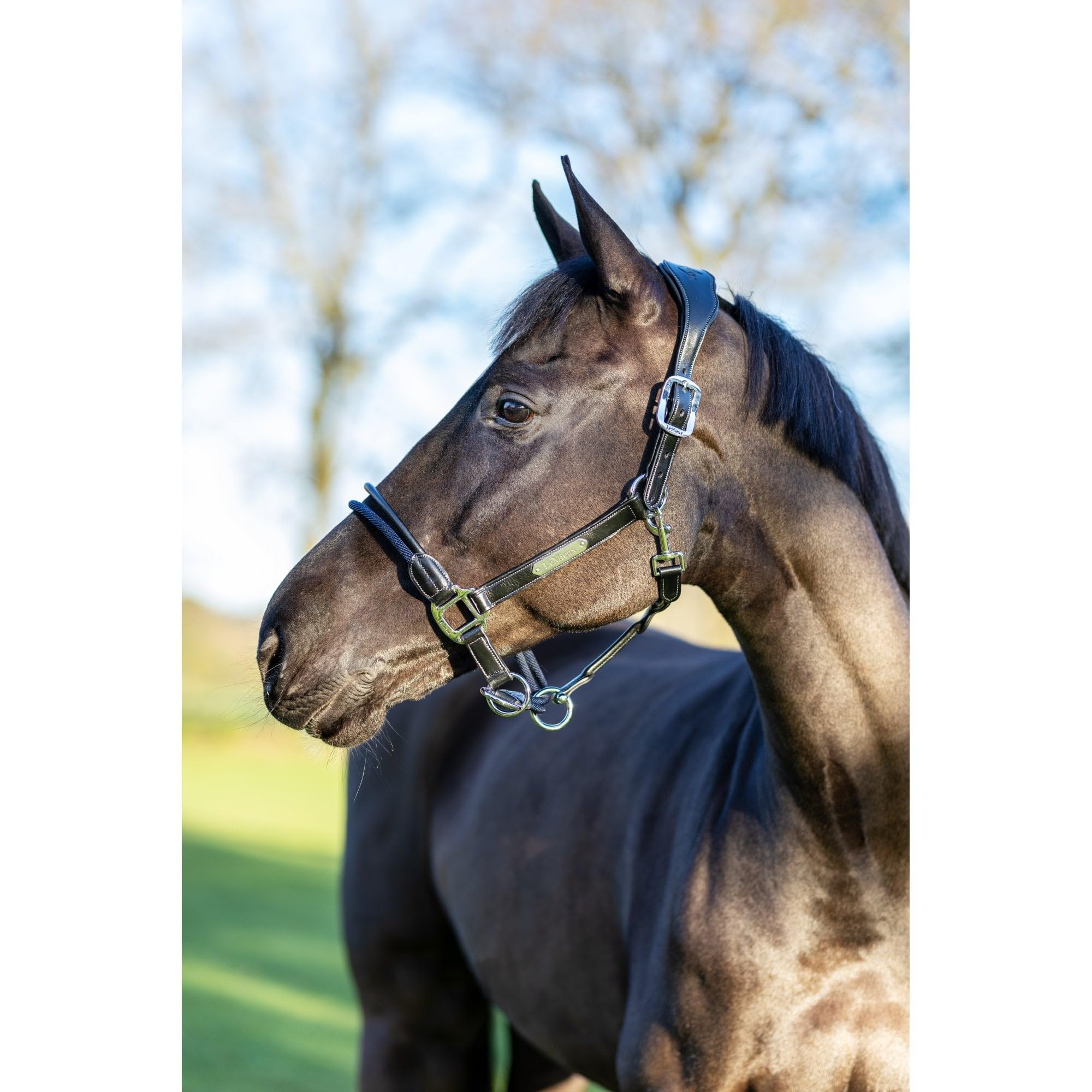 LeMieux Rope Control Headcollars Cob Black