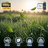 Deep Calm Collection 4K – Wind, Leaves, Meadow & Spa Chimes TV Screensaver