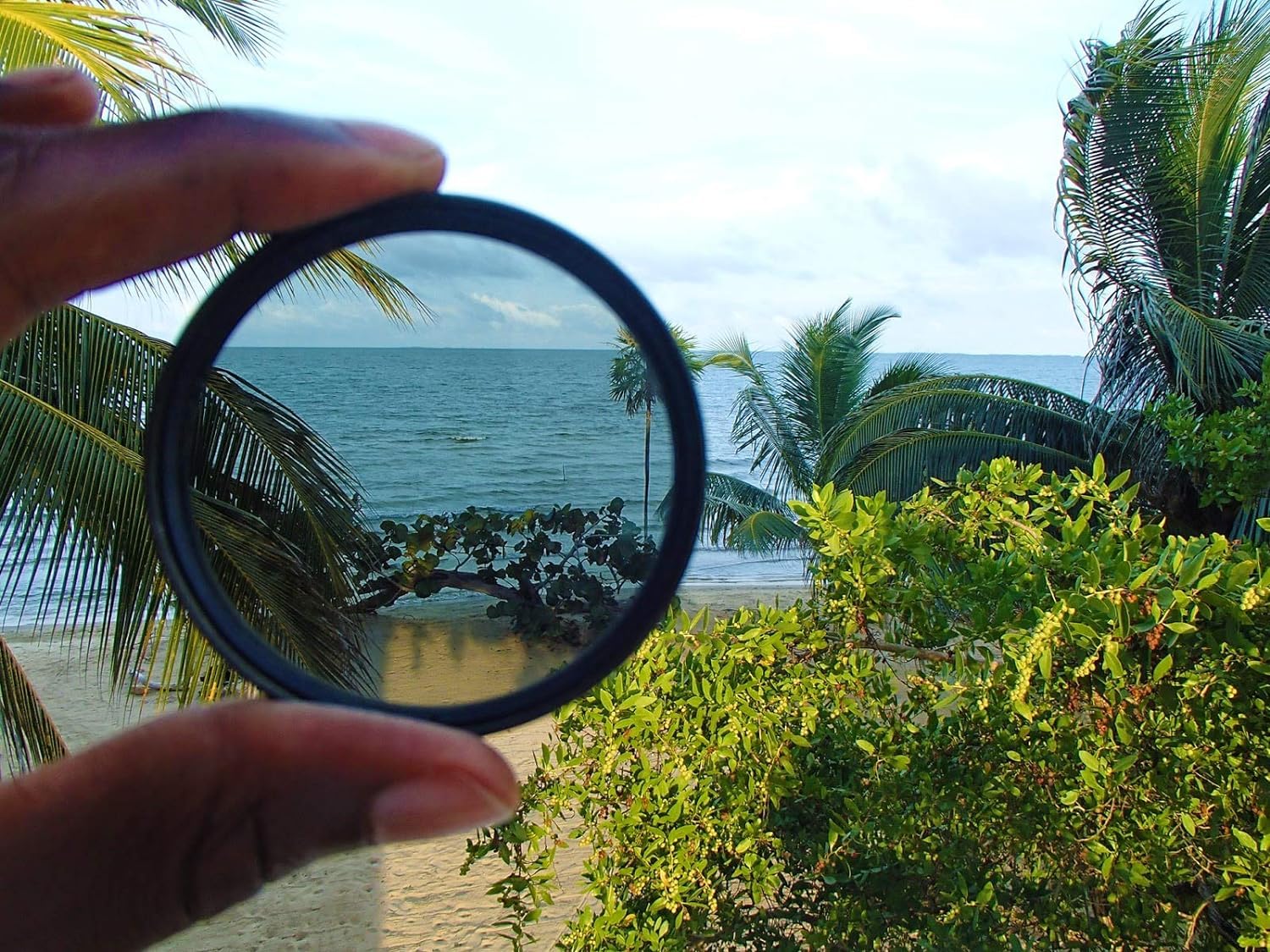 55mm. Filtro Polarizzatore Vivitar. Camera Lens Polarizer Filter. M55 - Foto 12