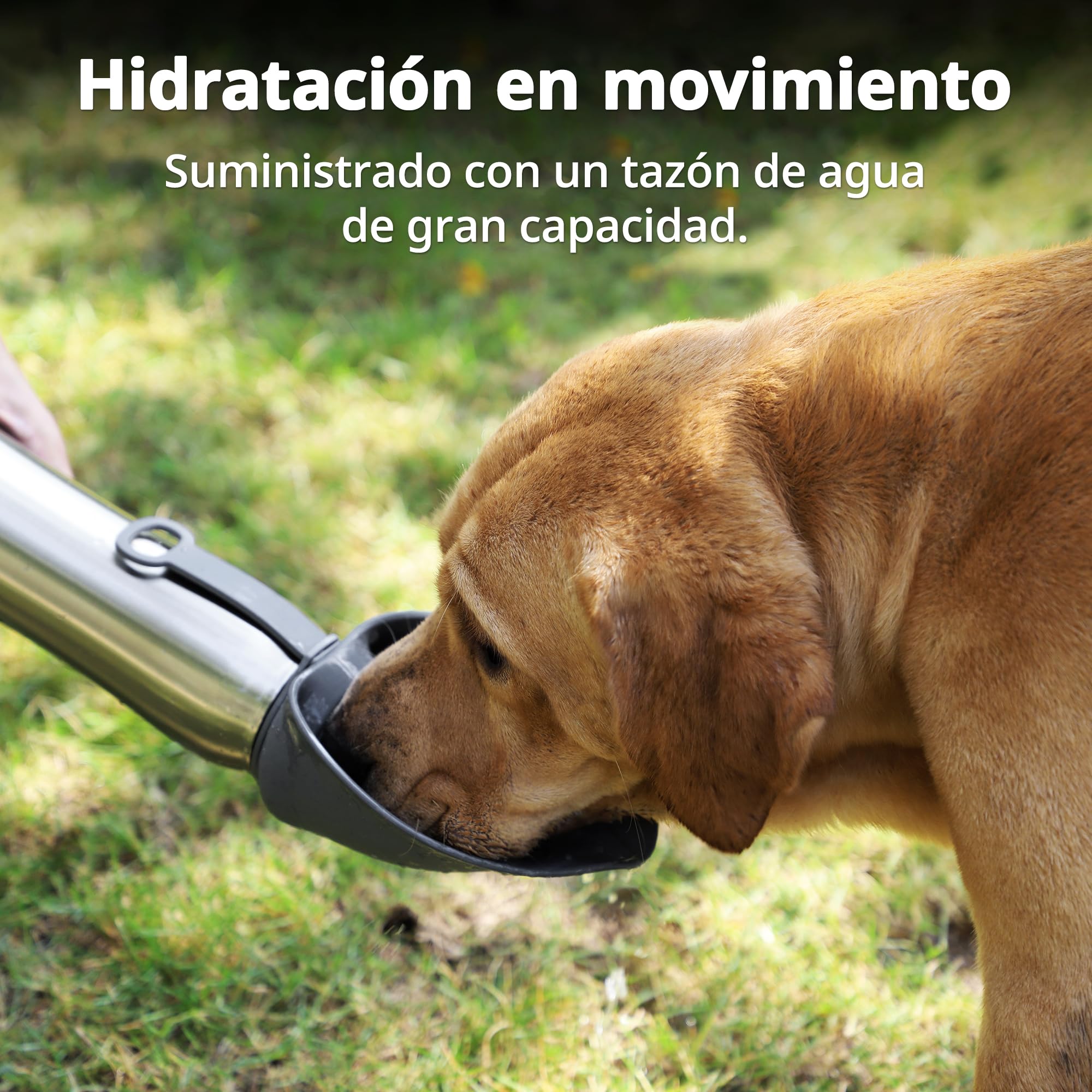 Botella de Agua para Perros, 750 ml Botella Agua Perro Aislada de Acero Inoxidable, Botella Pipi Perros Calle Portátil, Doble Pared Aislada al Vacío