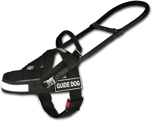 Dean & Tyler Arnés de nailon para perro, mediano, negro