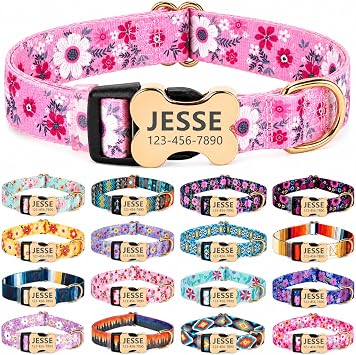 Personalized Dog Collar with Name and Phone Number,Custom Customized Engraved Silent No Jingle ID Nameplate Pet Collar with Bone Buckle,Collars for Puppies X-Small Small Medium Large X-Large Dogs