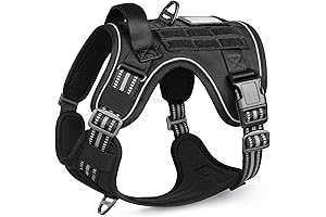 rabbitgoo Service Dog Harness with Patches, No Pull, L