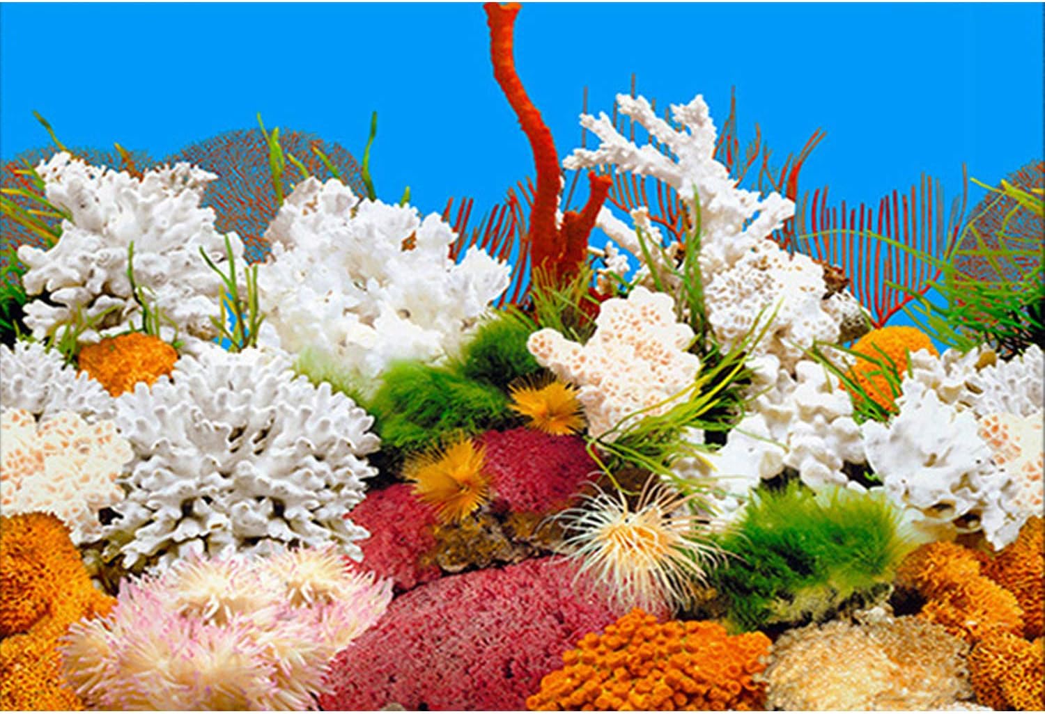 ELEBOX New 15.7" x 40" Fish Tank Background 2 Sided River Bed & Lake Background Aquarium