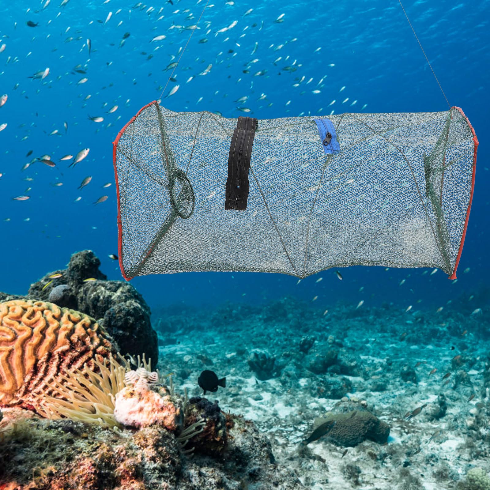 Trampa de Pesca Plegable 3 Piezas Red de Pesca Compacta 50x20x20 cm para Cangrejos Azules y Camarones