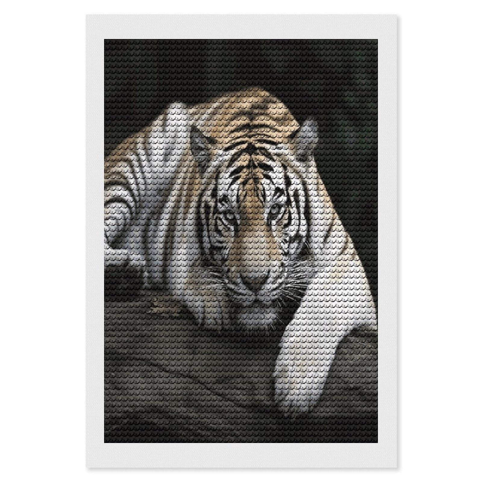 JTREHY Tiger Lie On Rock Diamond Art Kits Personalized DIY Round Diamond Painting Kits for Beginner Full Drill Diamonds Dots Paintings for Adults Gem Art Crafts Home Decor