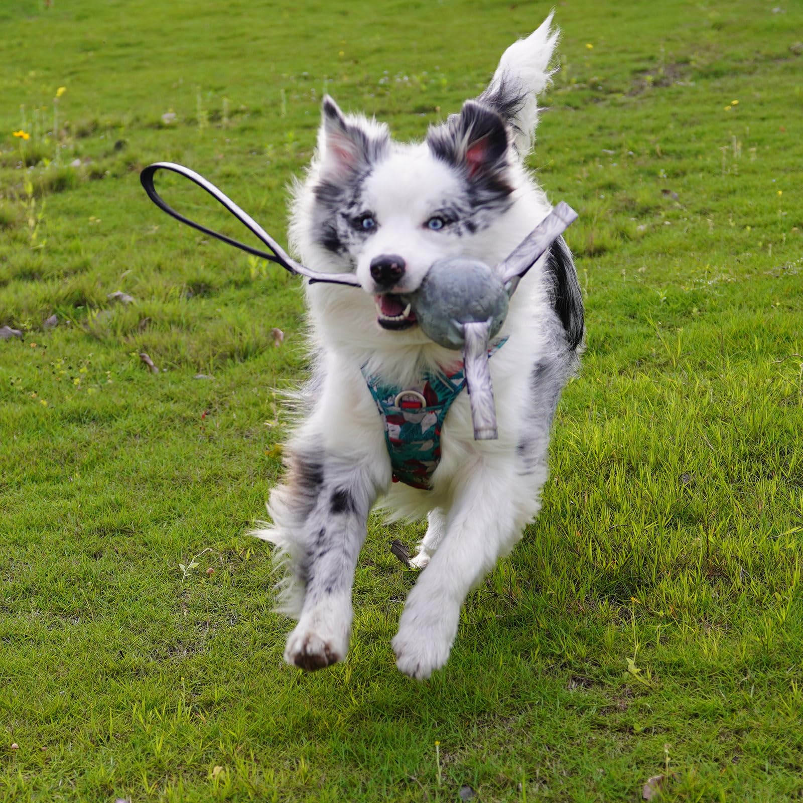 3.7" Dog Balls with Straps Indestructible for Aggressive Chewers, LightWeight Dog Soccer Ball for Small Medium Large Dogs, Multifunctional Outdoor Rope Ball for Dog Ball Toys with Tabs fo All Breed