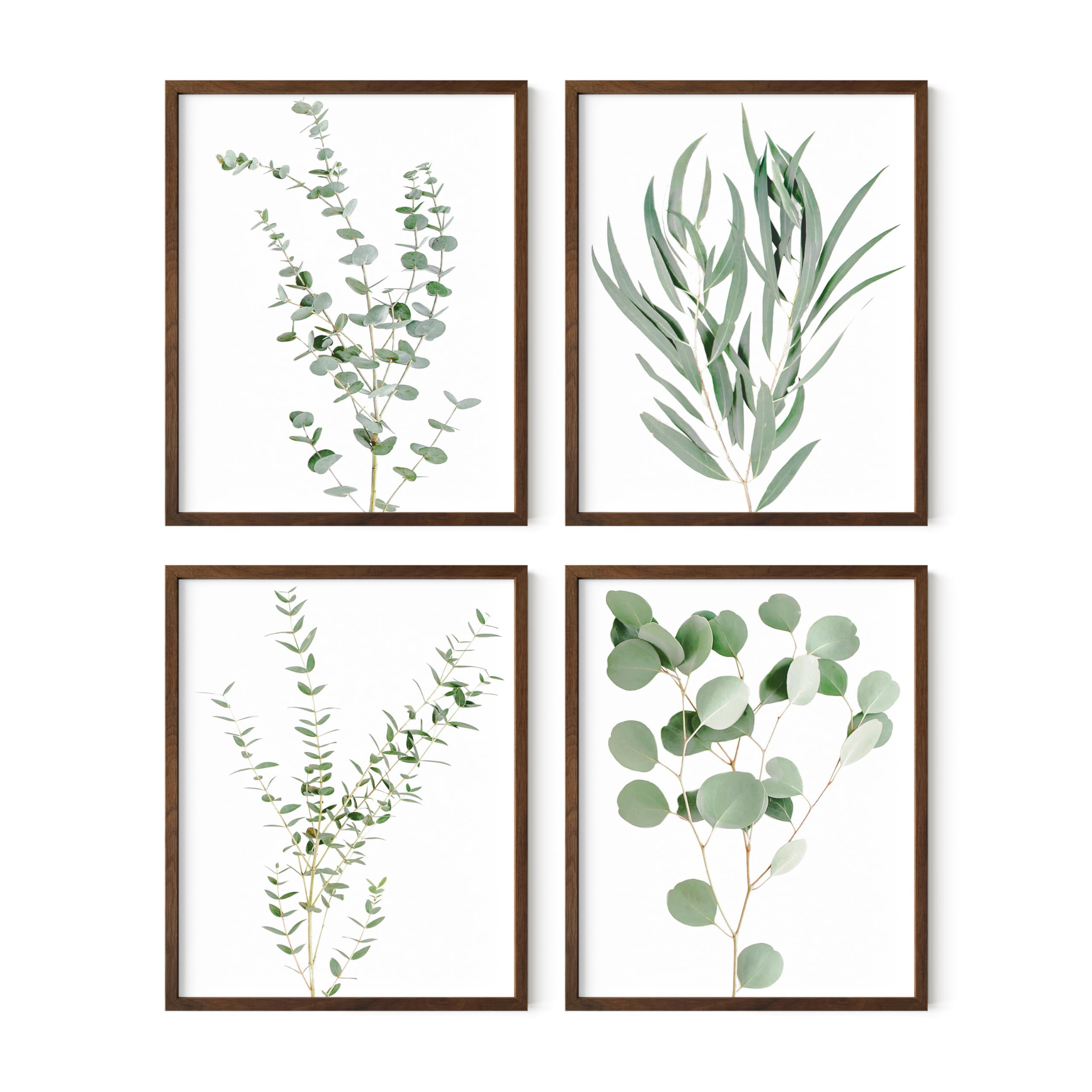 HAUS AND HUES Botanical Plant Wall Art Prints - Set of 4 Plant Wall Decor Prints, Floral Kitchen, Flower Leaves Wall Art, Boho Leaf Eucalyptus Wall