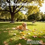 Tie Out Cable for Dogs Heavy Duty, 10/15/20/25/30/50FT Dog Runner Chain for Small Large Dogs, Chew Proof, Tangle-Free Dog Leads Tether for Yard, Outside- Up to 400 pounds