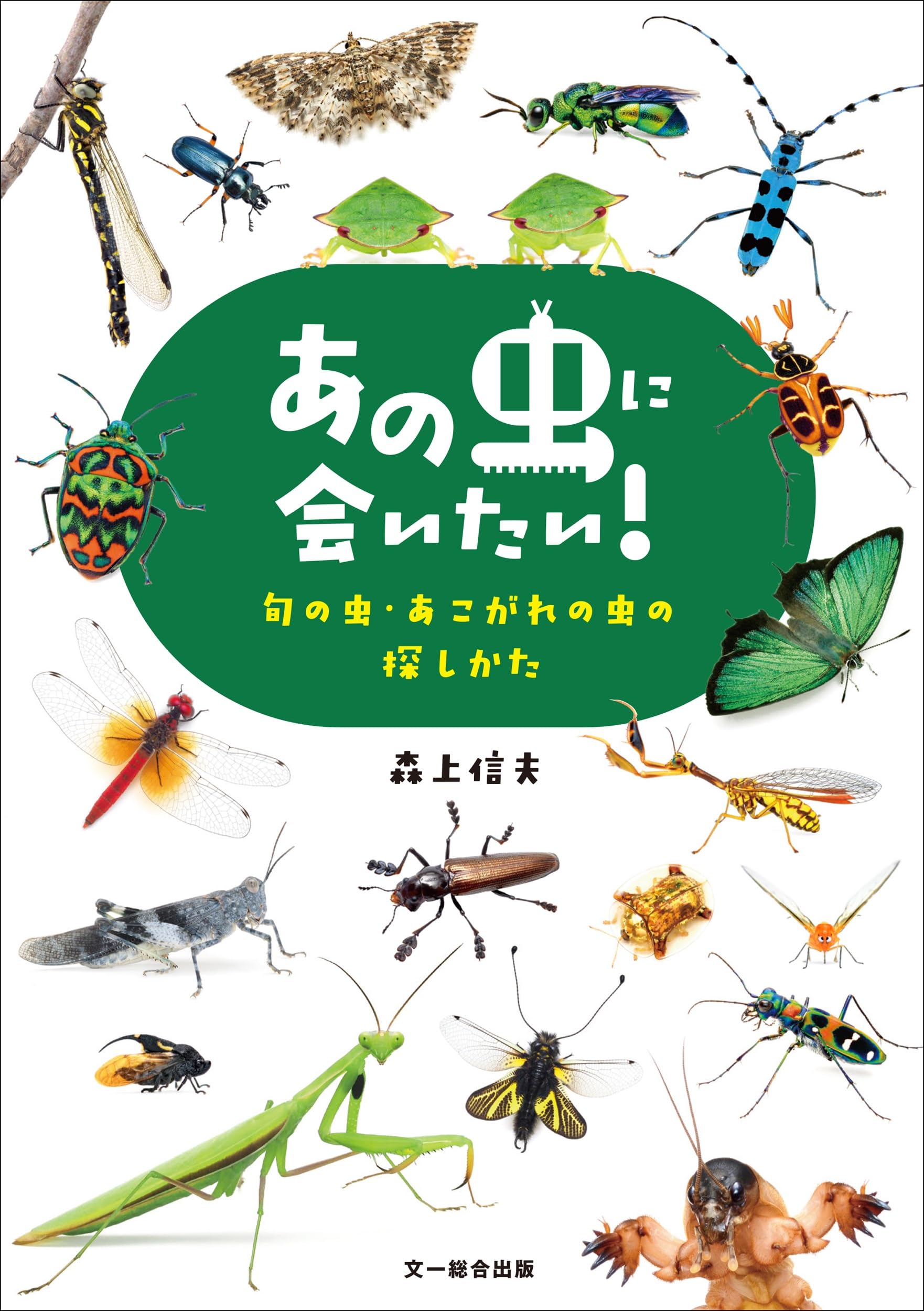 昆虫学 Annual Review of Entomology 参考書 全巻 虫 あの虫に会いたい！ 旬の虫・あこがれの虫の探しかた | 森上信夫 |本