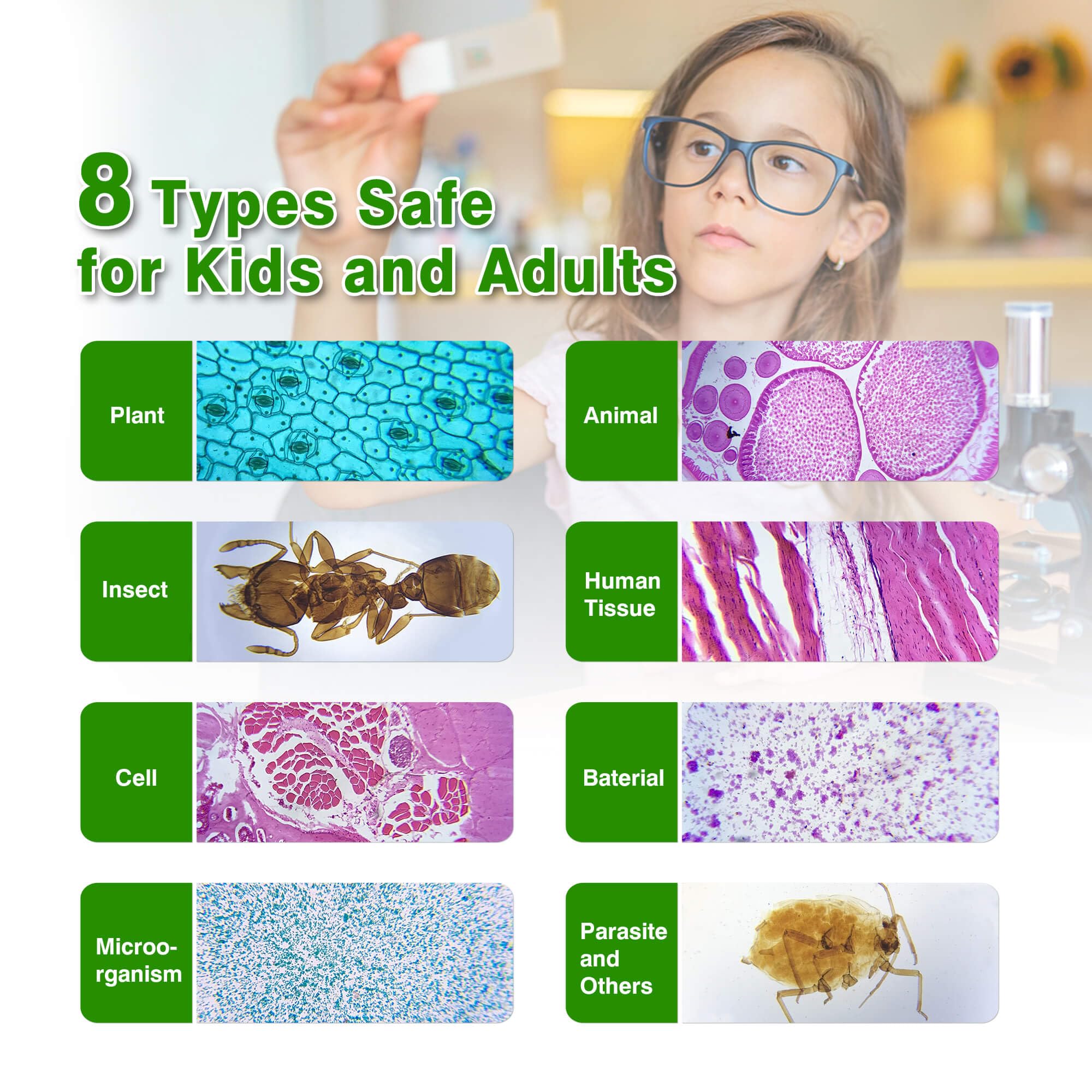 Snapklik.com : 30 Microscope Slides