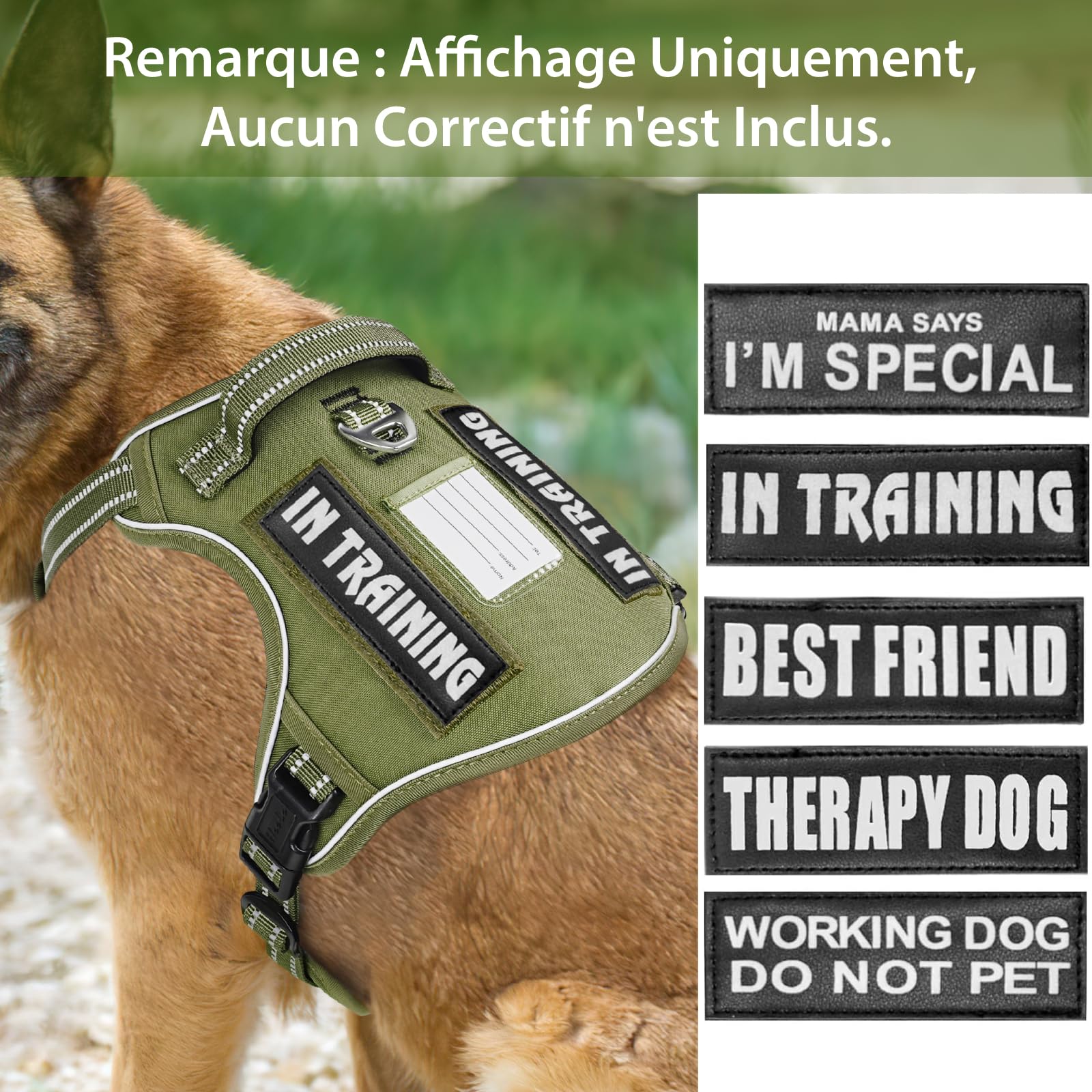 HEELE Tactical Dog Harness with Molle Panel, Small Medium Large Dogs, Army Green, S - Image 4