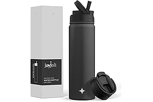 JoyJolt Triple Insulated Stainless Steel Bottle with Straw Lid