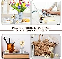 Vista 5 de Waydress 15 Piezas Difusor Flores Sola Mixtas Material Natural Aromaterapia Varillas Flores de Madera Decorativas Aromaterapia Colocación de Flores