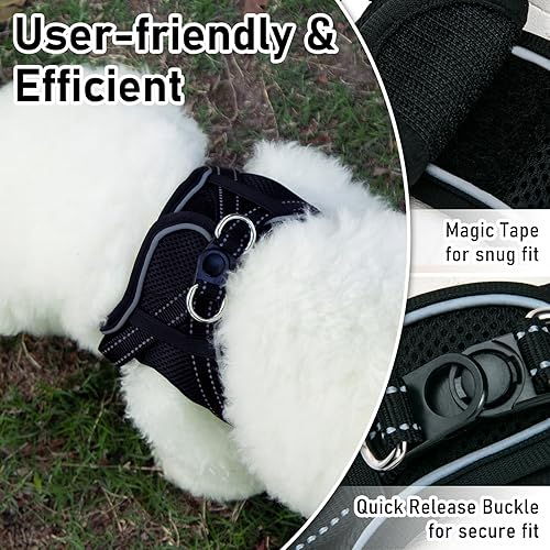 Miniatura 4 de Juego de arnés y correa para perro, arnés de chaleco para mascotas de raza pequeña con acolchado suave de malla de aire, hebillas ajustables, anillo