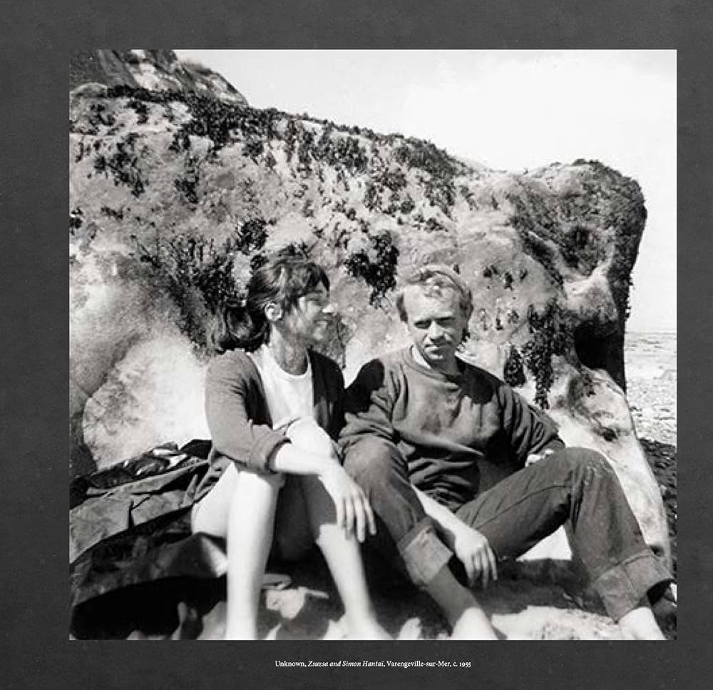 Amazon.com: SIMON HANTAI: 9782072979897: Hantai, Simon, Baldassari