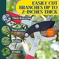 Vista 4 de Haus & Garten PowerPRO Compound Action 29" Bypass Loppers - Use as loppers for tree trimming, branch cutters, heavy-duty garden pruning tree