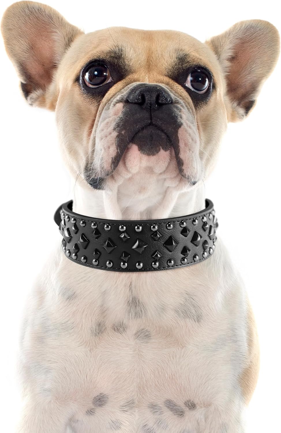 Premium Faux Leather Spiked Dog Collar with Square Studs: Stylish and Durable Design, Comfortable Fit for Small, Medium, & Large Dogs - Ideal for Everyday Walks, Training Black L image 2
