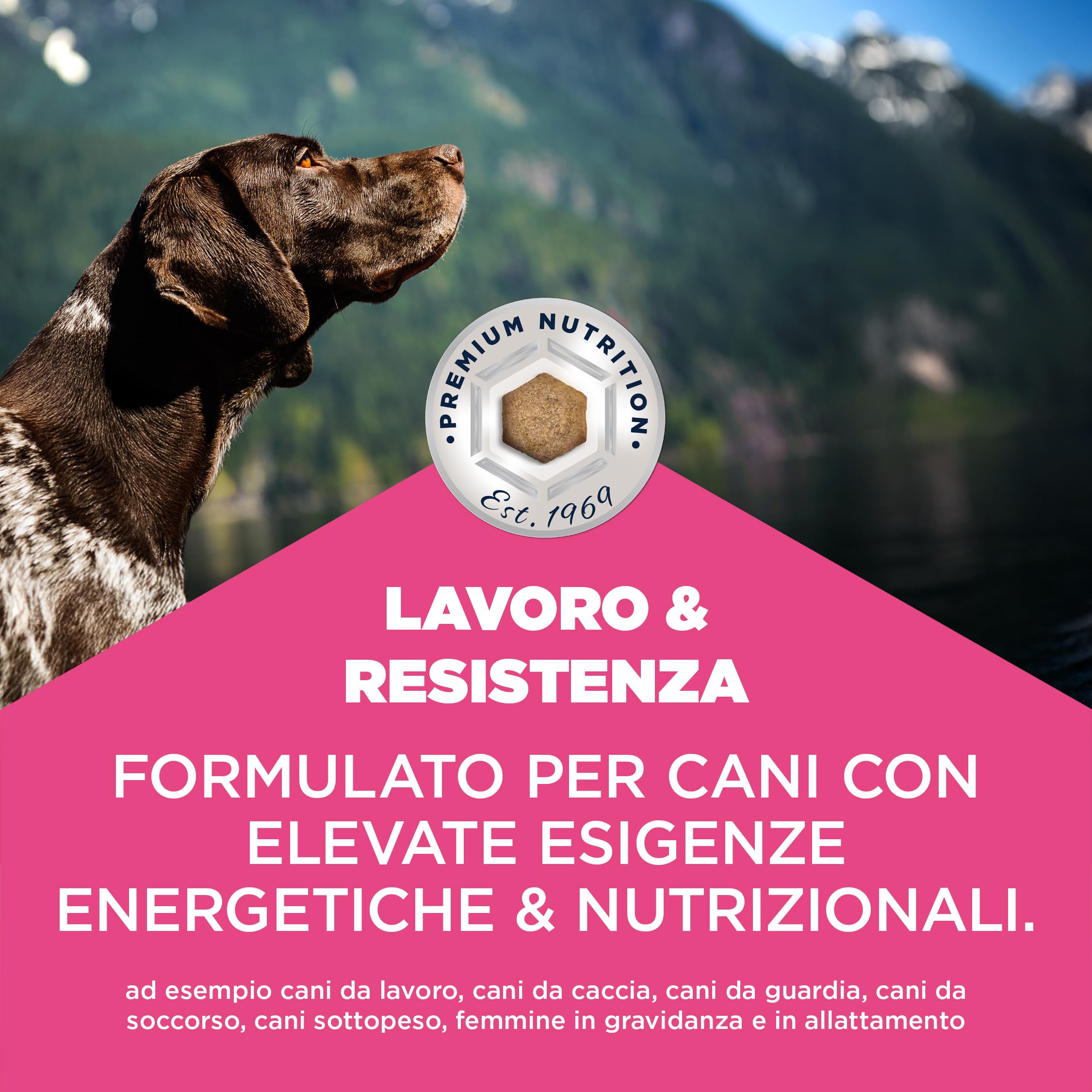 EUKANUBA Working & Endurance Cibo per cani con pollo fresco - Mangime secco Special Care ad alto contenuto energetico per cani da lavoro, cani da caccia e cagne in gravidanza o allattamento, 15 kg