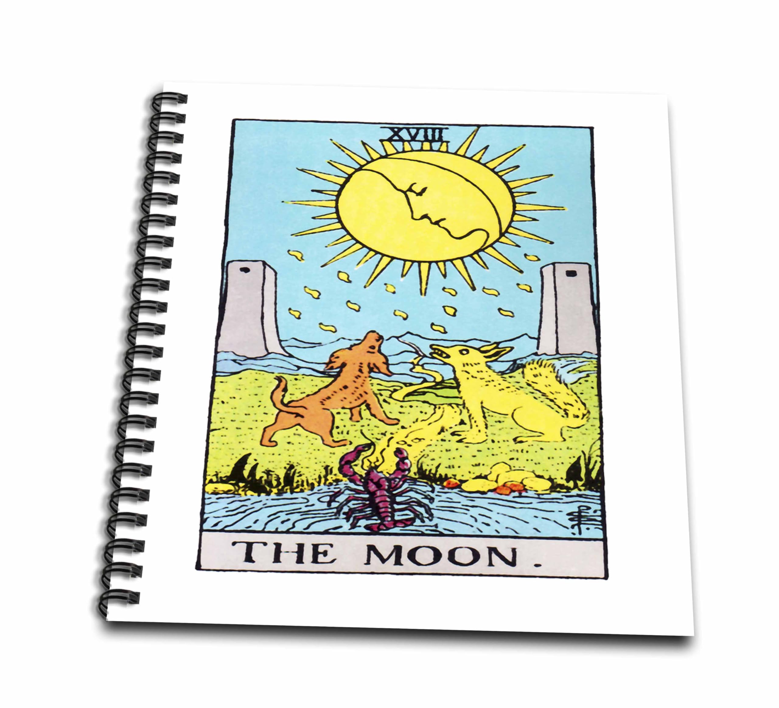 Amazon.com: 3dRose db_62441_1 Tarot The Moon Card Drawing
