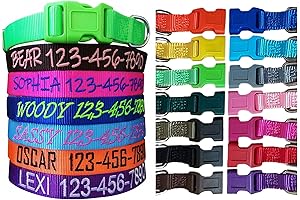 Premium Dog Collar, Personalized with Embroidered Name and Phone Number