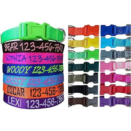 personalised dog collars amazon