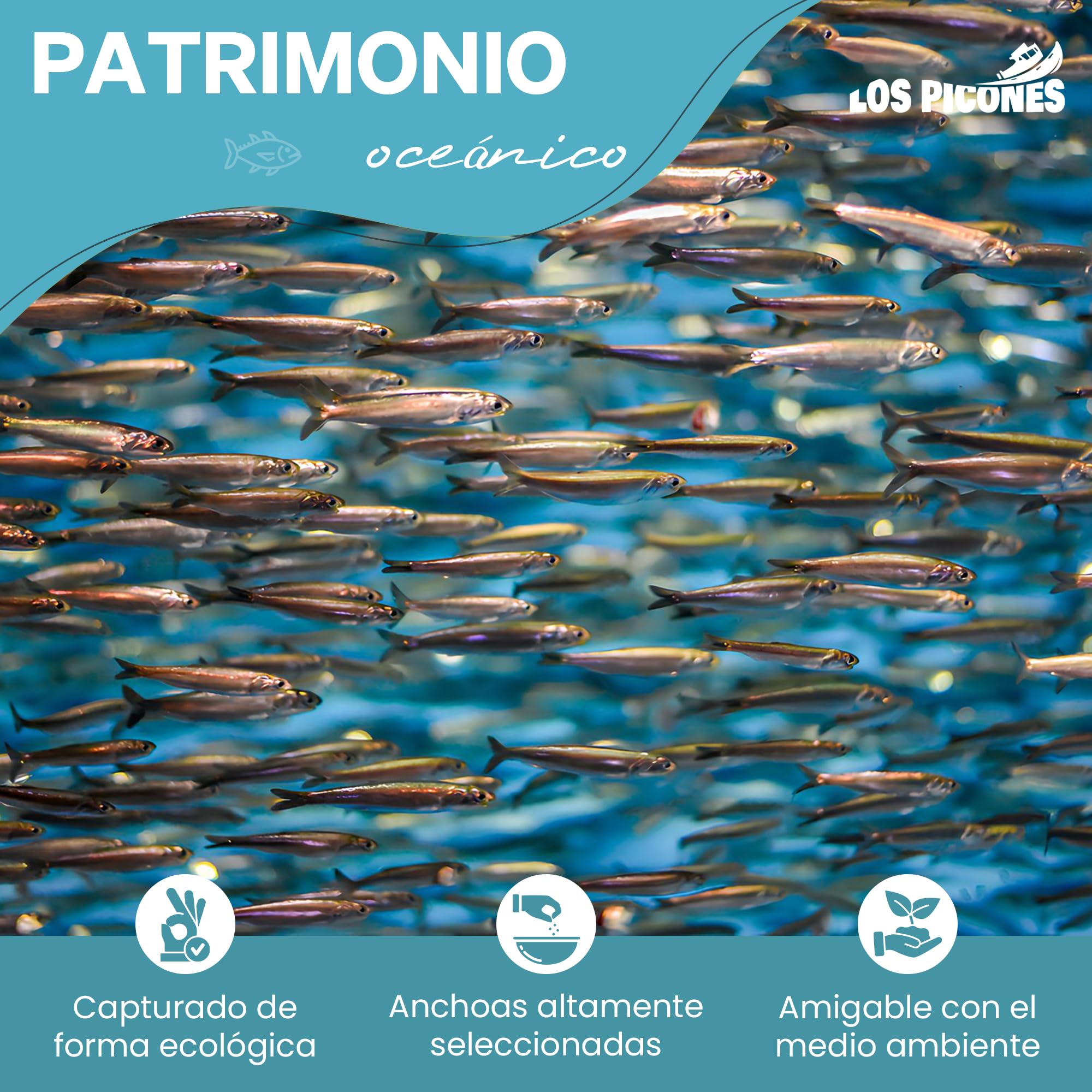 Anchoas Revilla Crema de Anchoas en Mantequilla Pack 4 Latas 180 gr Sabor Intenso Cocina Mediterránea Tapas Españolas