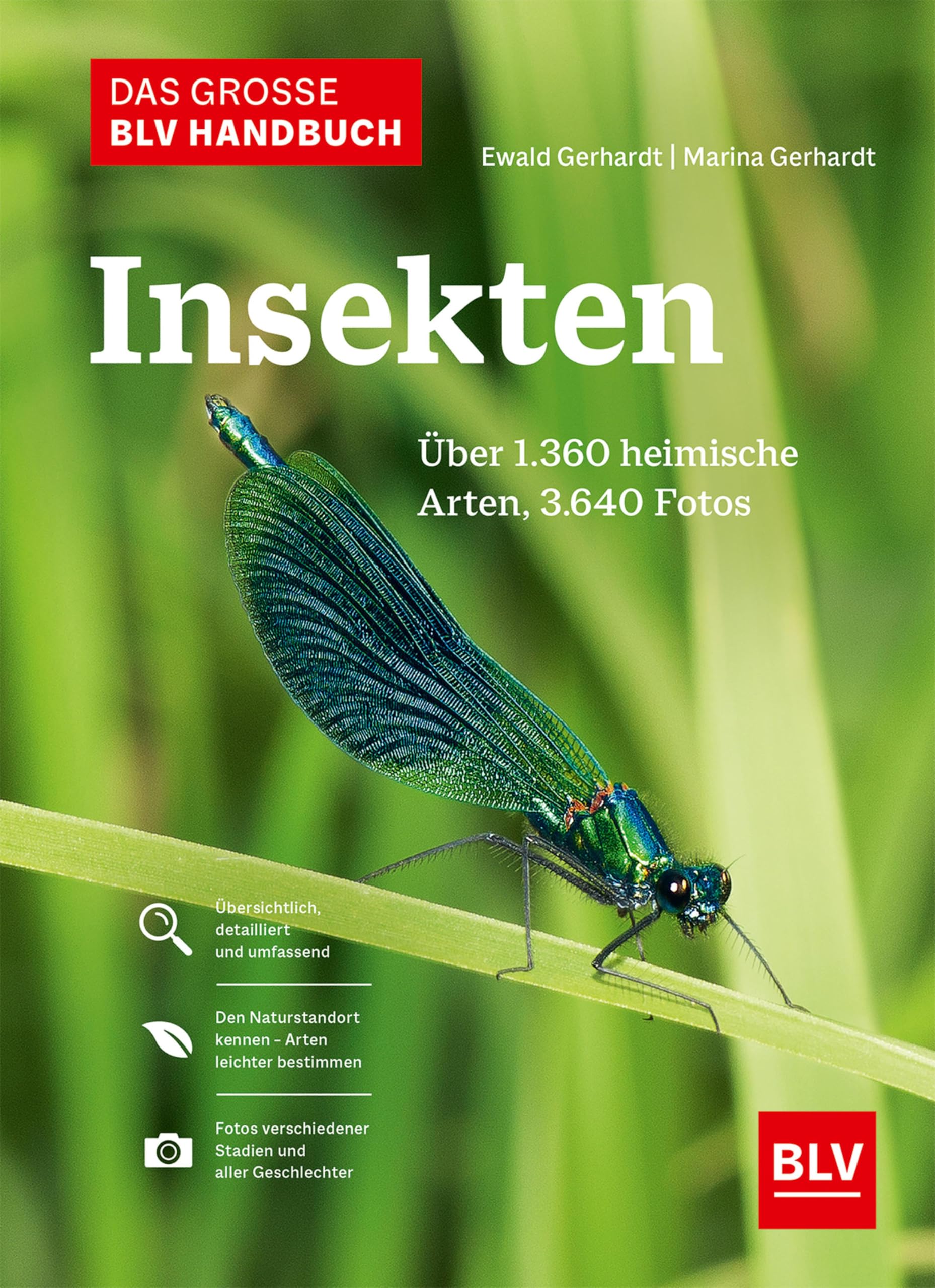 Das große BLV Handbuch Insekten: Über 1360 heimische Arten, 3640 Fotos (Natur)