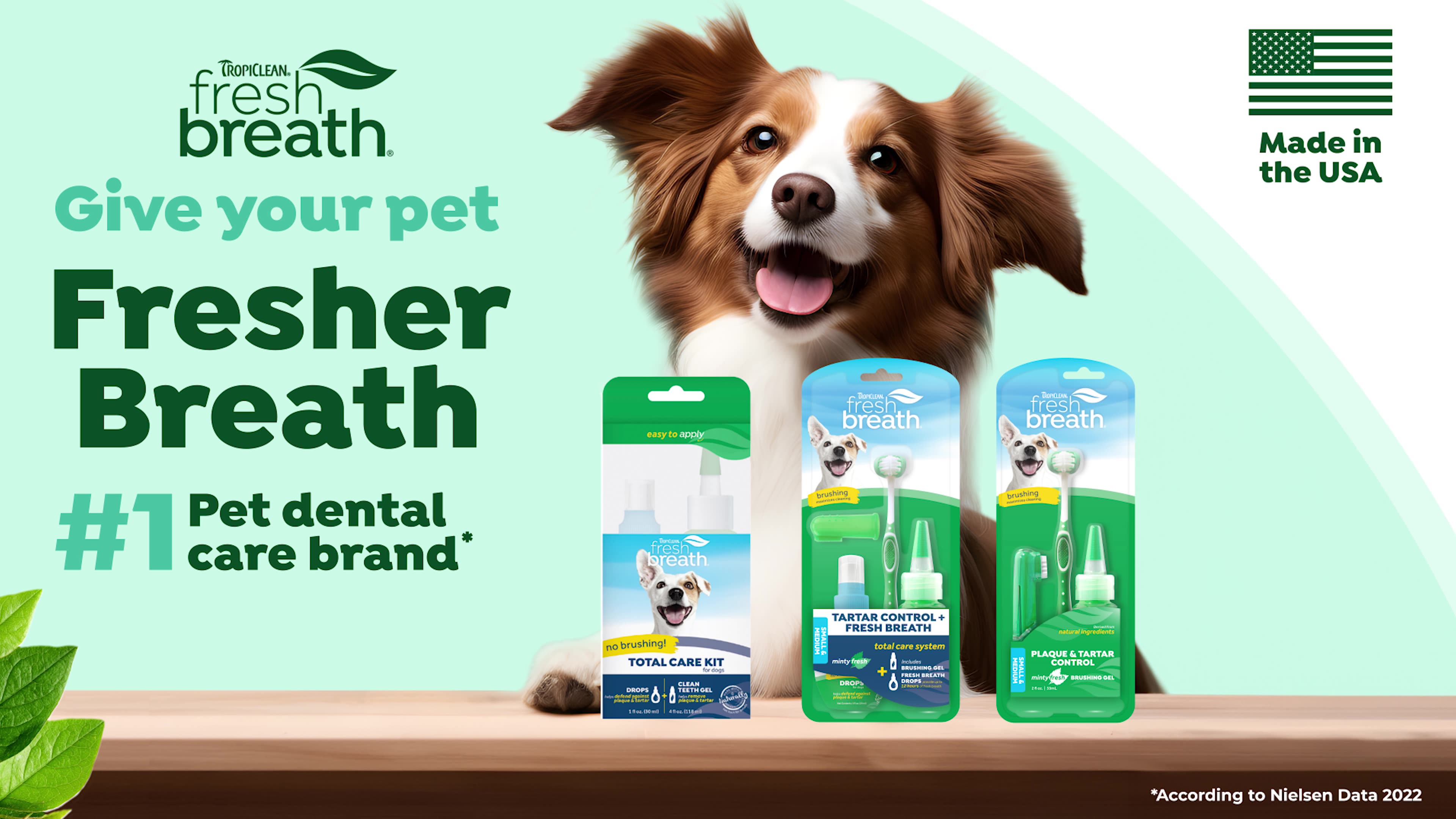 Amazon.com : TropiClean Fresh Breath Toothbrush and Toothpaste Kit