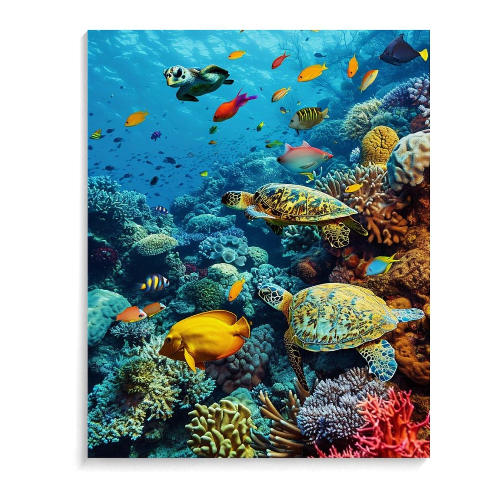 Amazon | 水中世界のサンゴと魚たち 数字キットによる絵画 数字油絵