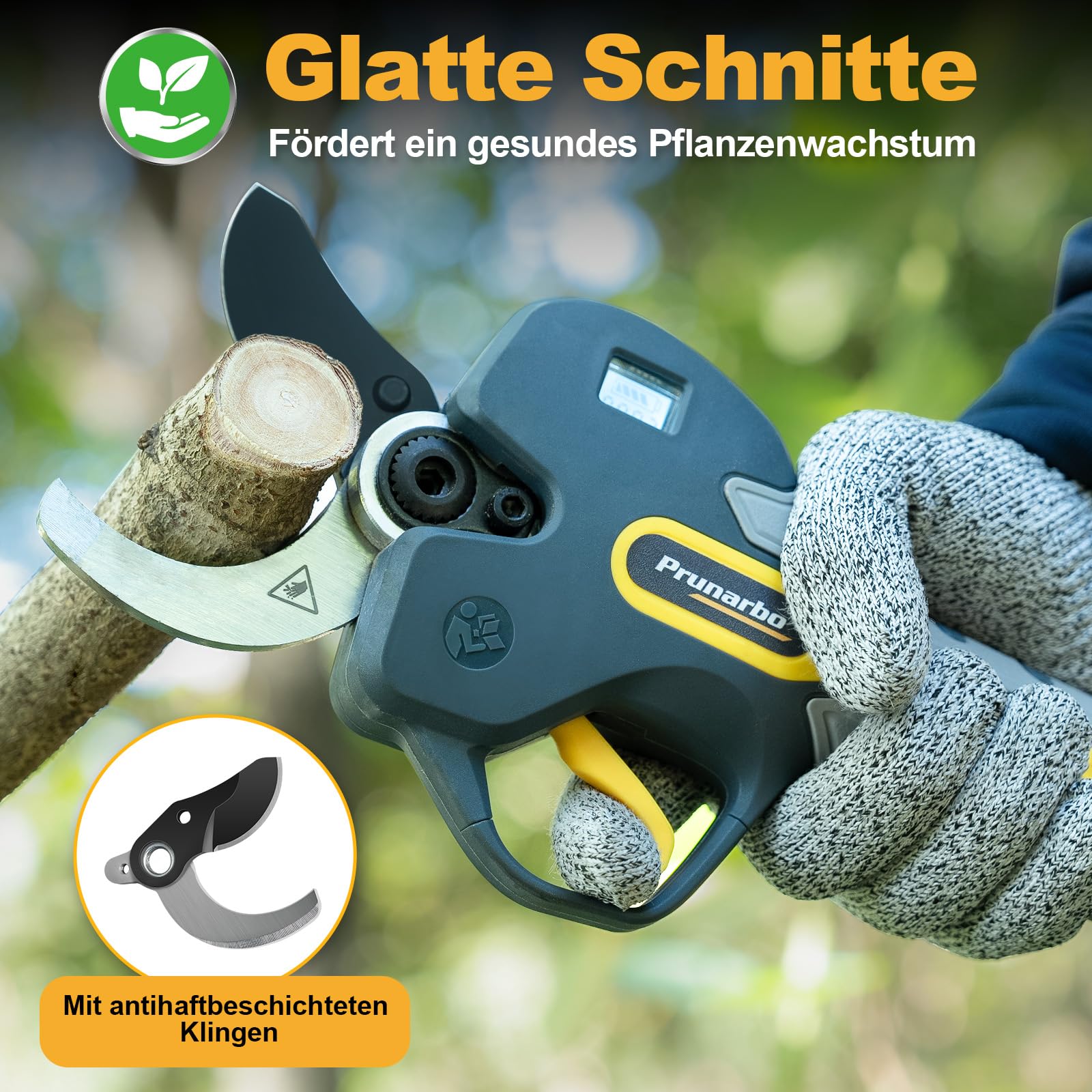 Akku Astschere 50mm mit Verlängerungsstiel für Baumpflege | professionelle Akku Gartenschere mit Verlängerung, 1,3–2,5m Teleskopstiel, Für hohe Äste und präzise Baumschnitte
