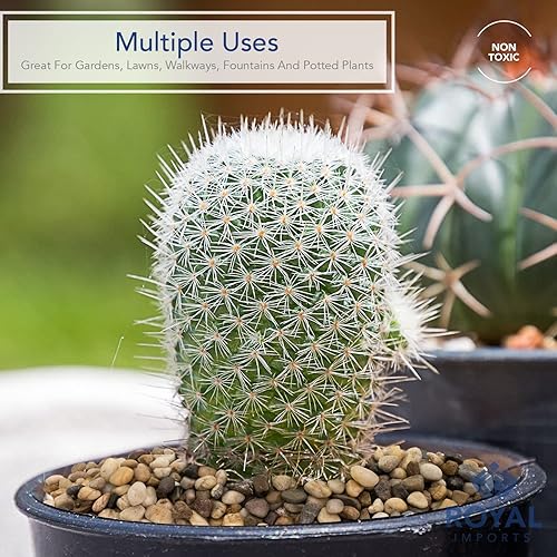 Miniatura 5 de Royal Imports Piedras decorativas de 5 libras, piedras de río, pinturas para acuarios de peces, grava, paisajismo, decoración del hogar natural,