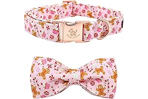 Christmas Cheer for Your Pup: The Gingerbread Man Dog Collar