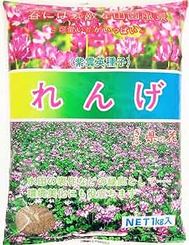 24年　れんげ種子　5kg 種子 レンゲソウ (れんげ草・ゲンゲ) 5kg : めばえや旧店名