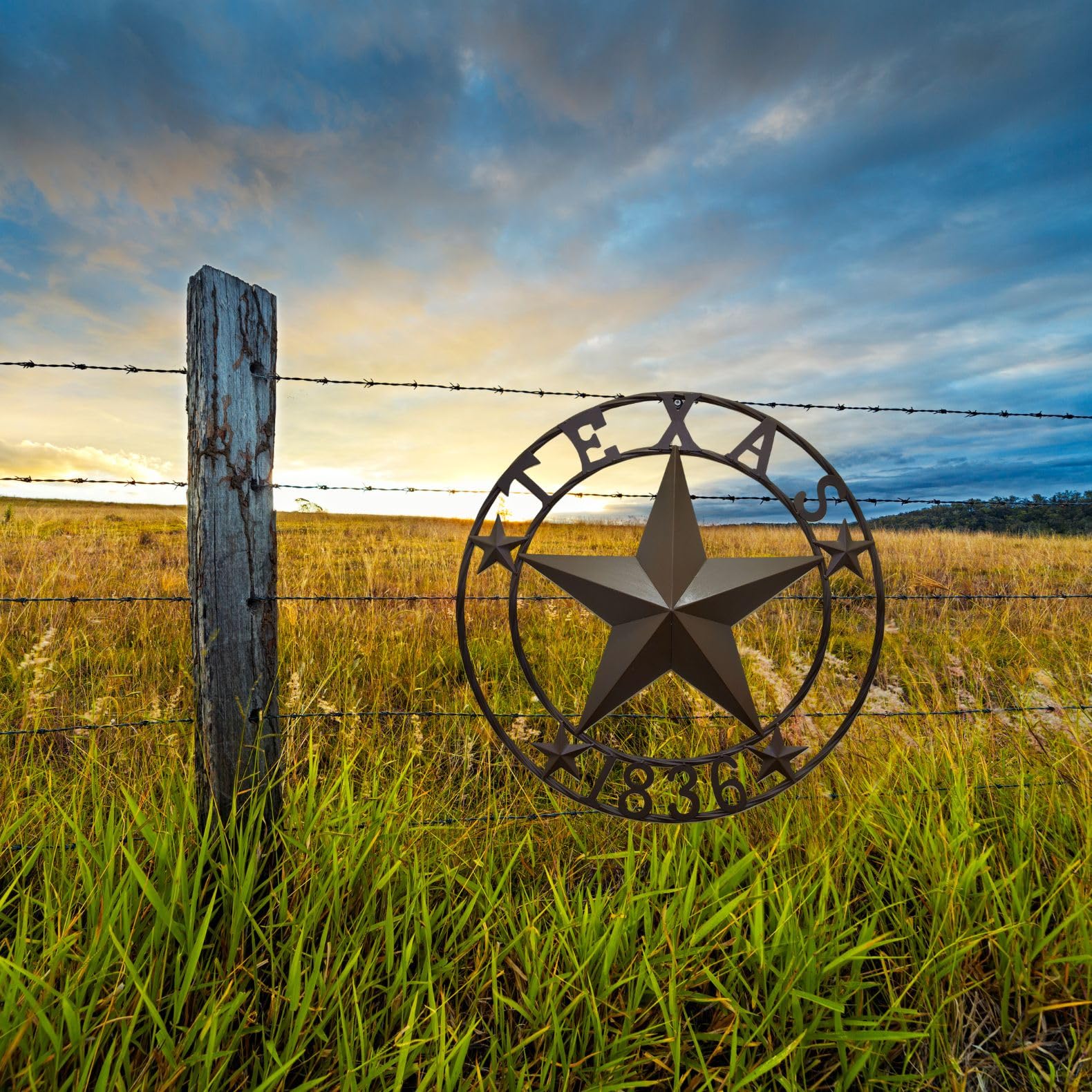 BestGiftEver Metal Circle – Texas 1836 Targa decorativa da appendere alla parete