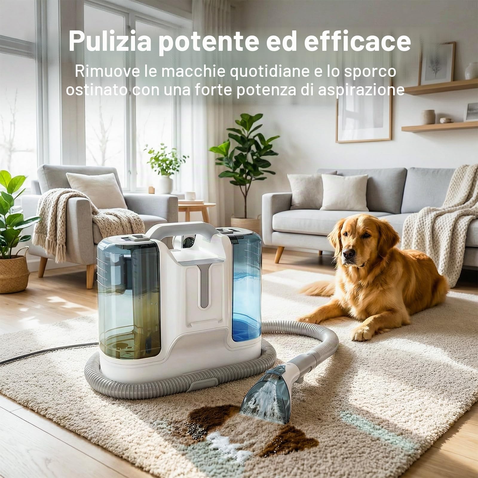Lavatappeti Aspirapolvere Tessuti Divani 450W, 16 KPa Lava Divano, Aspirapolvere Lavatore con Serbatoio Doppio 1800/600 ml, 4 Spazzole per Divano, Moquette, Interni Auto