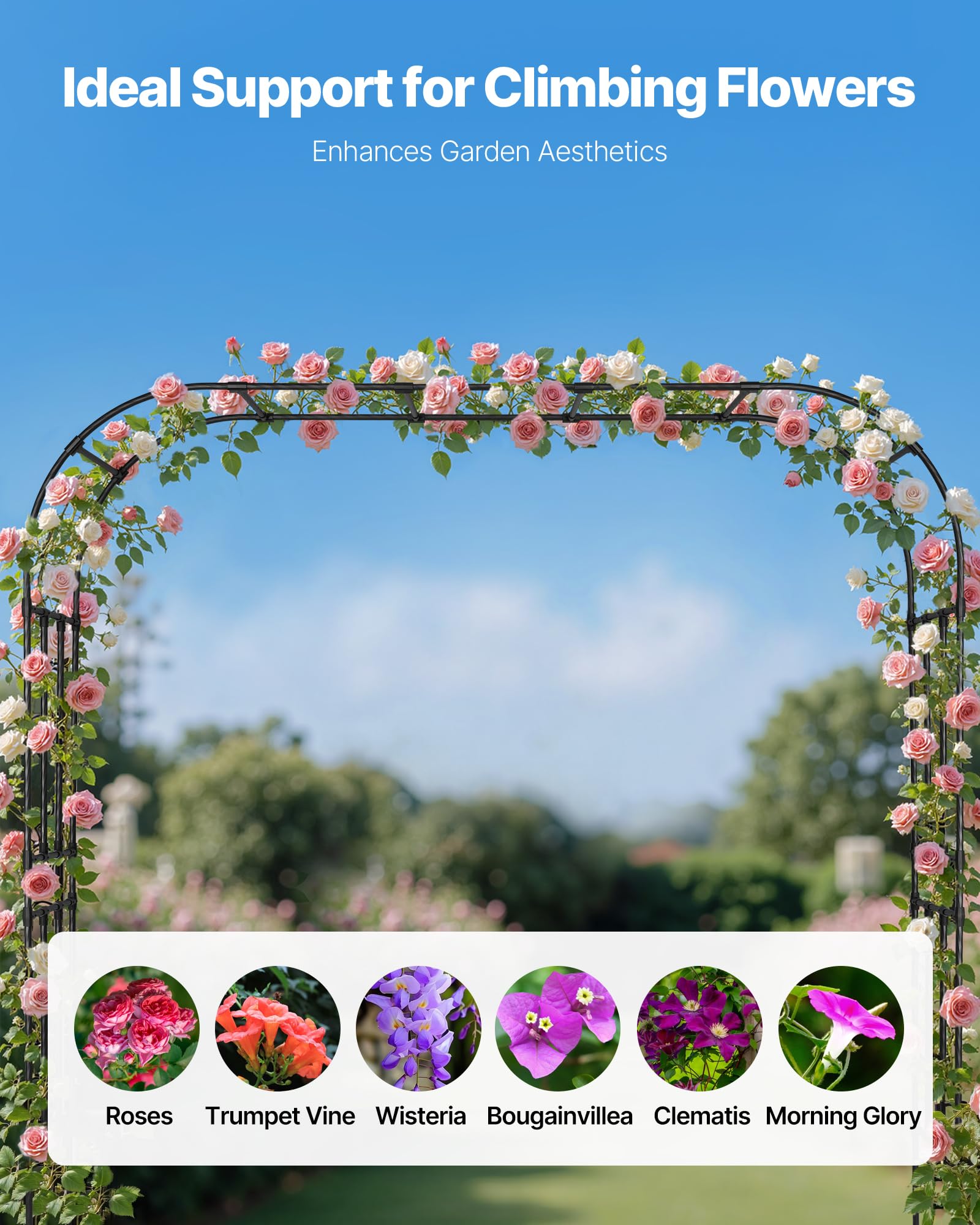 VEVOR Arco de Metal para Rosas 240 x 250 x 40 cm Arco para Rosas Trepadoras con Tubos de Acero Galvanizado Resistente para Exteriores Decorativo para Plantas Trepadoras para Jardín, Boda, Negro