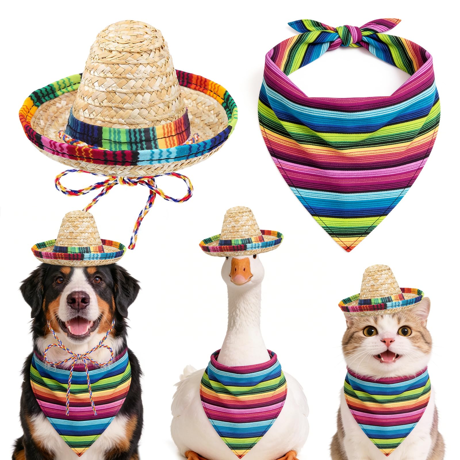 Chapeau mexicain chat lot de 2 sombreros avec bandana cadeau idéal pour animaux