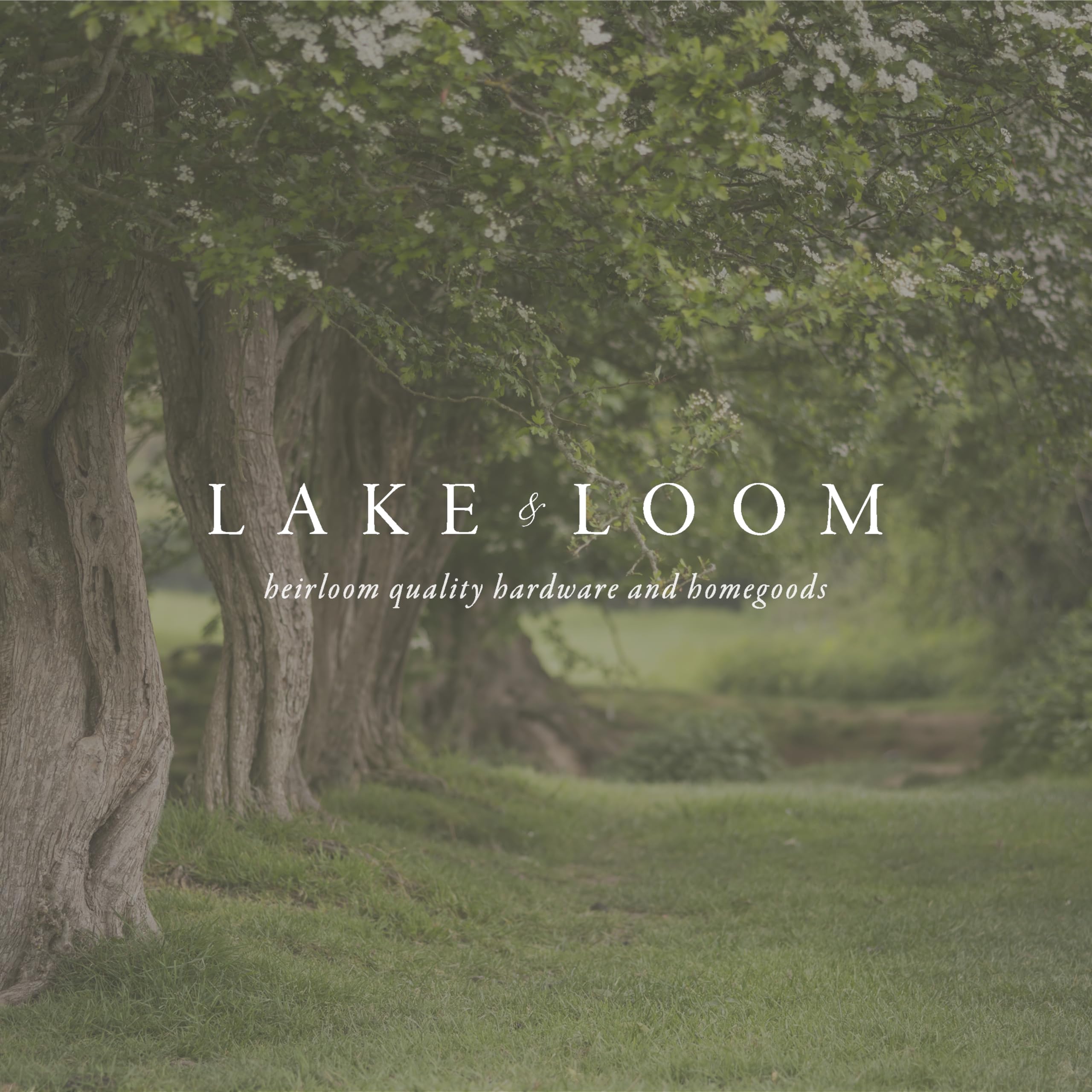 Lake & Loom Walden Gałka do szuflady ze szczotkowanego mosiądzu, złota okrągła gałka do szafki kuchennej, złote uchwyty do szuflad komody, okucia szafek, 2 szt