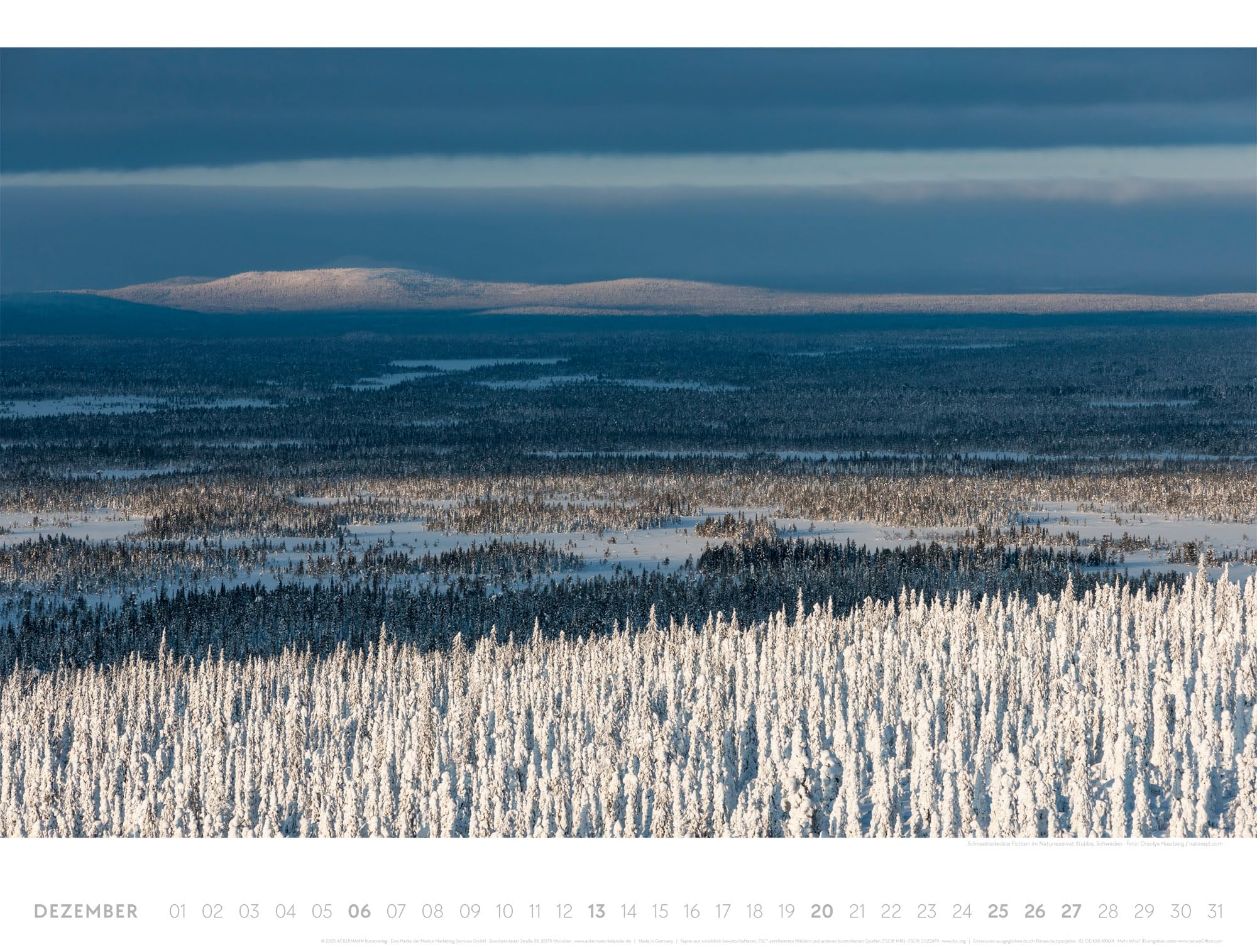 Freiraum Kalender 2026 | Hochwertiger Landschaftskalender im großen Querformat (66x50 cm) | Minimalismus in Natur und Landschaft