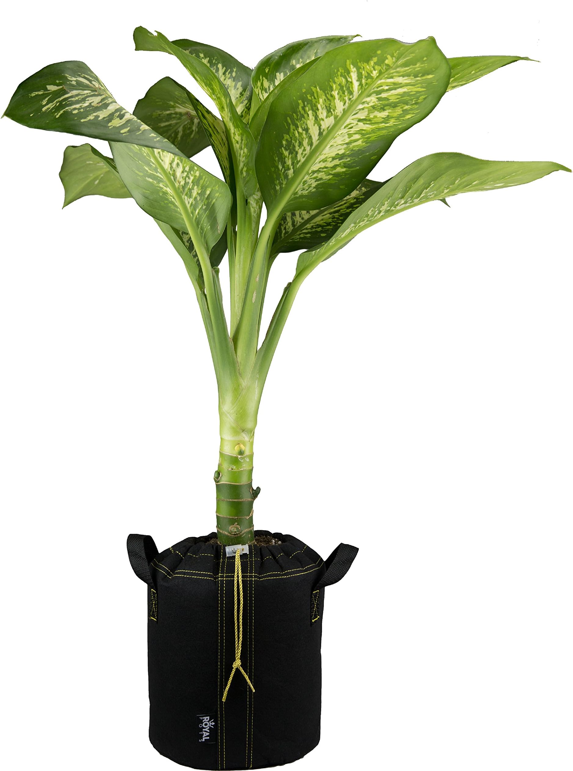 | Fabric Grow Bags with Handles and Drawstring | 3 Gallon | 5 Pack | Black