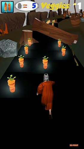 Noah's Veggie Run