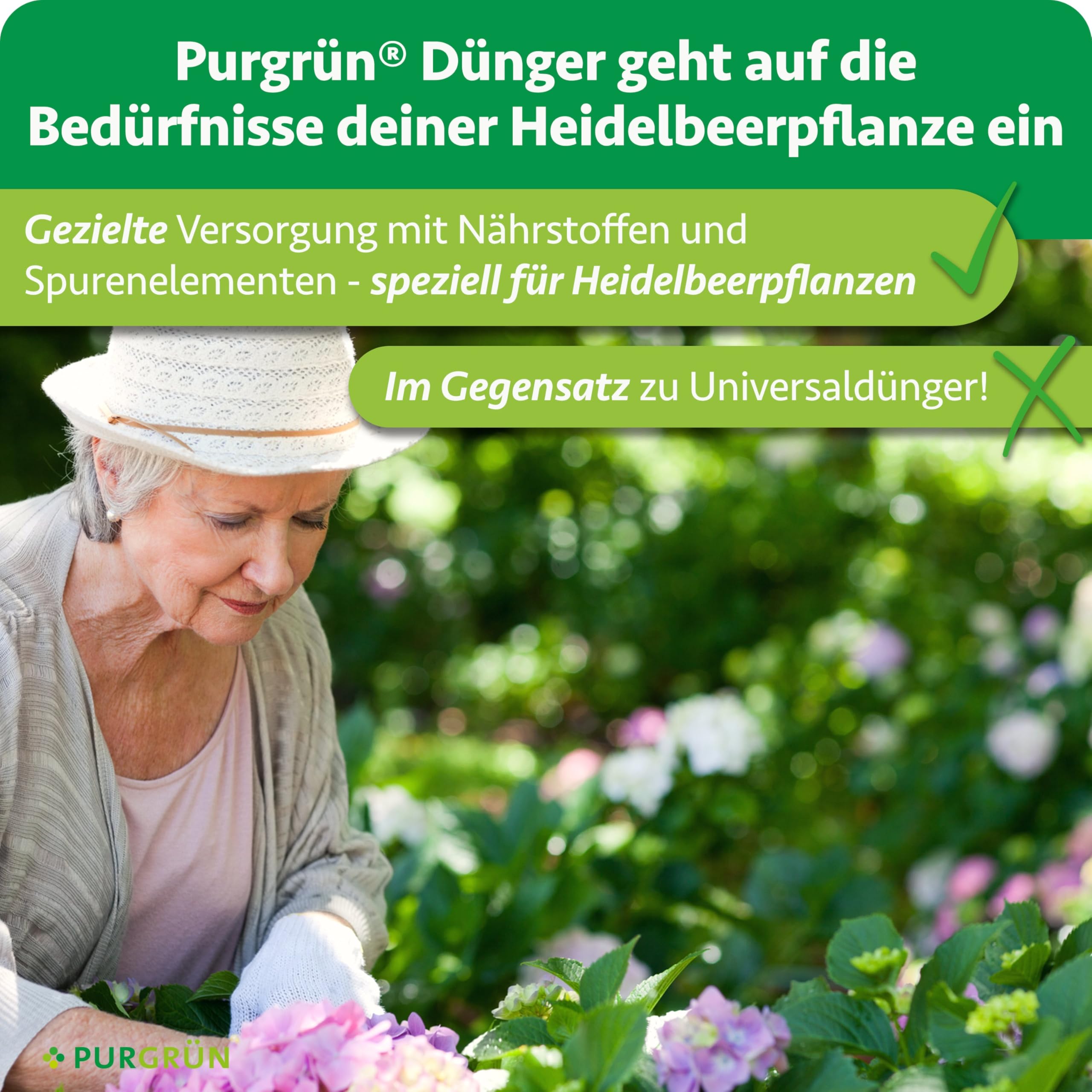 Bio-Heidelbeerdünger 1 Liter – Organische Rezeptur – Premium-Flüssigdünger – NPK 4+1+7 – Mit Algenextrakt & Vinasse – Kalium für aromatische Heidelbeeren – Ohne tierische Inhaltsstoffe